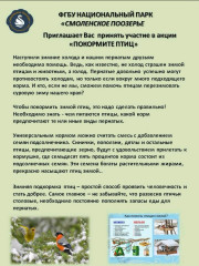 фгбу «Национальный парк «Смоленское Поозерье» совместно с Министерством образования и науки Смоленской области приглашает всех принять участие во Всероссийской природоохранной акции «Покормите птиц!» - фото - 1