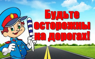 детская дорожная безопасность в летний период - фото - 5